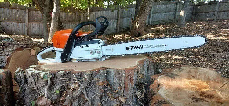 best stihl saw for firewood