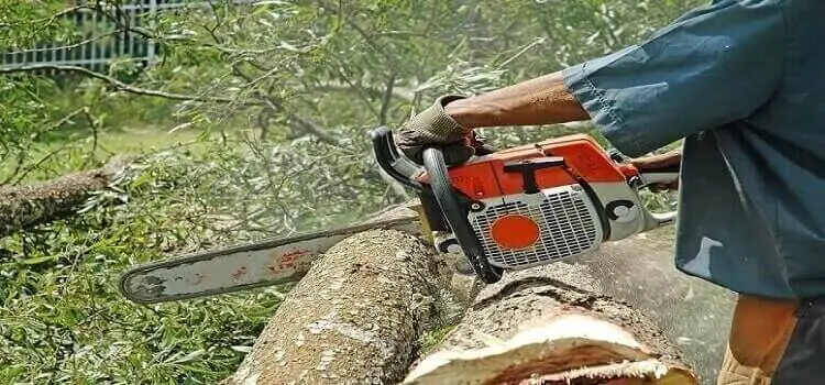 how to cut wood slices with a chainsaw