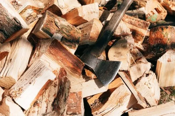 types of tree felling cuts