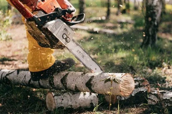 proper direction of chainsaw blade